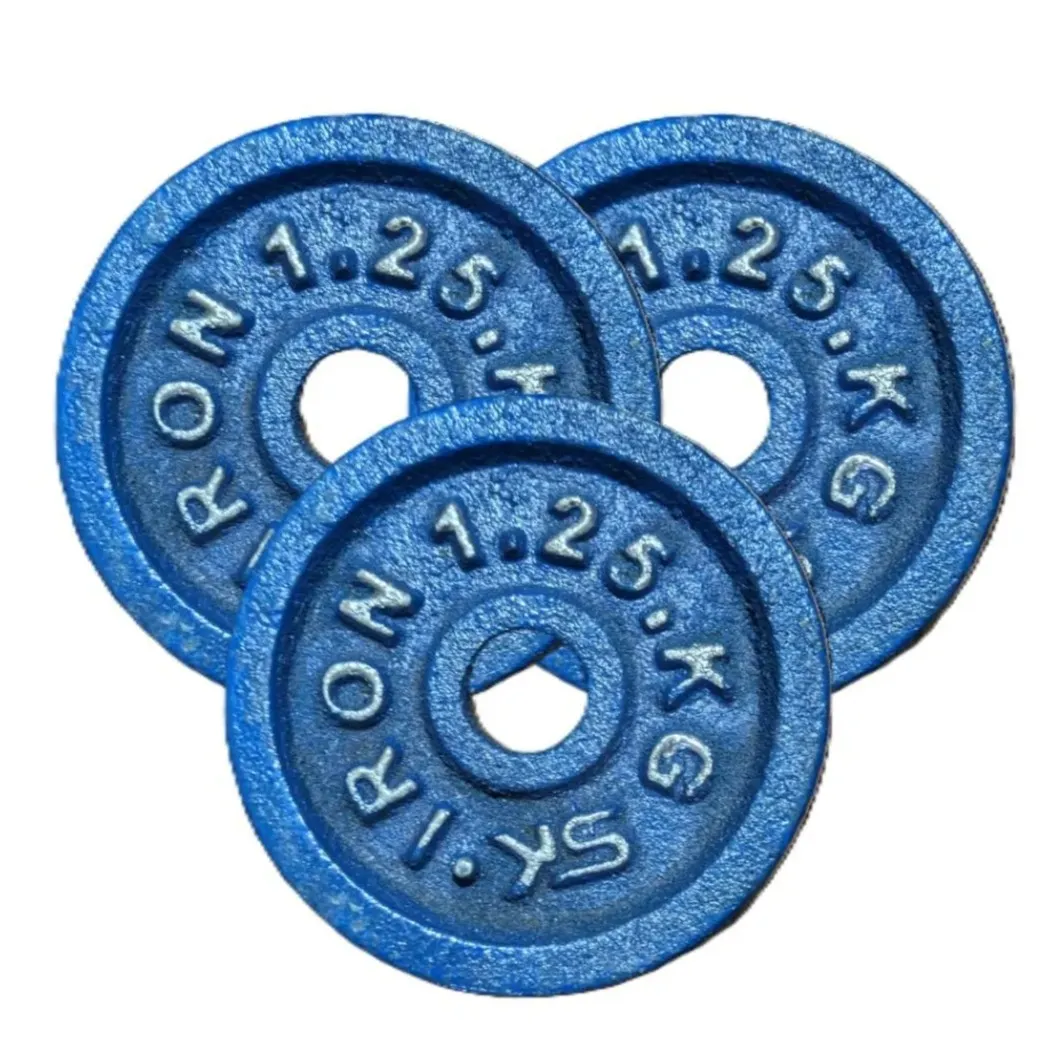 Blue Dumbbell Plate (1.25kg – 20kg) view 3